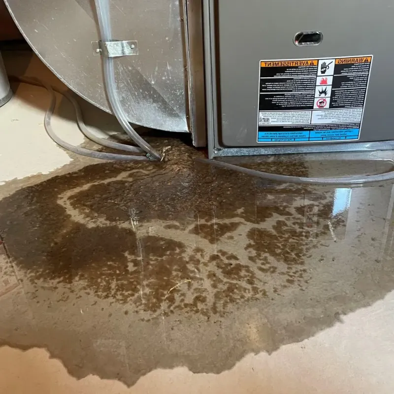 Pipe Burst and Leak Restoration in Hanover County, VA